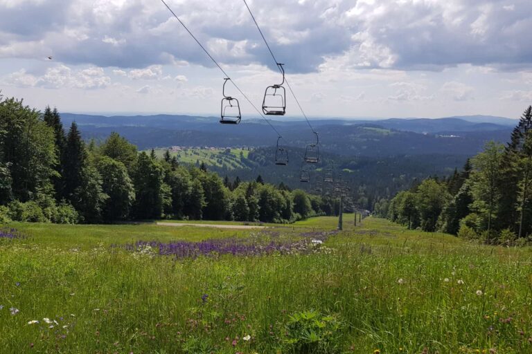 Okruh kolem Almbergu (křížení červené sjezdovky)