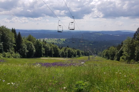 Okruh kolem Almbergu (křížení červené sjezdovky)