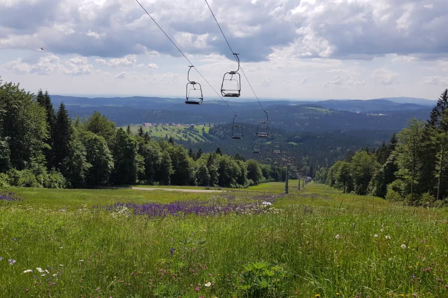 Okruh kolem Almbergu (křížení červené sjezdovky)