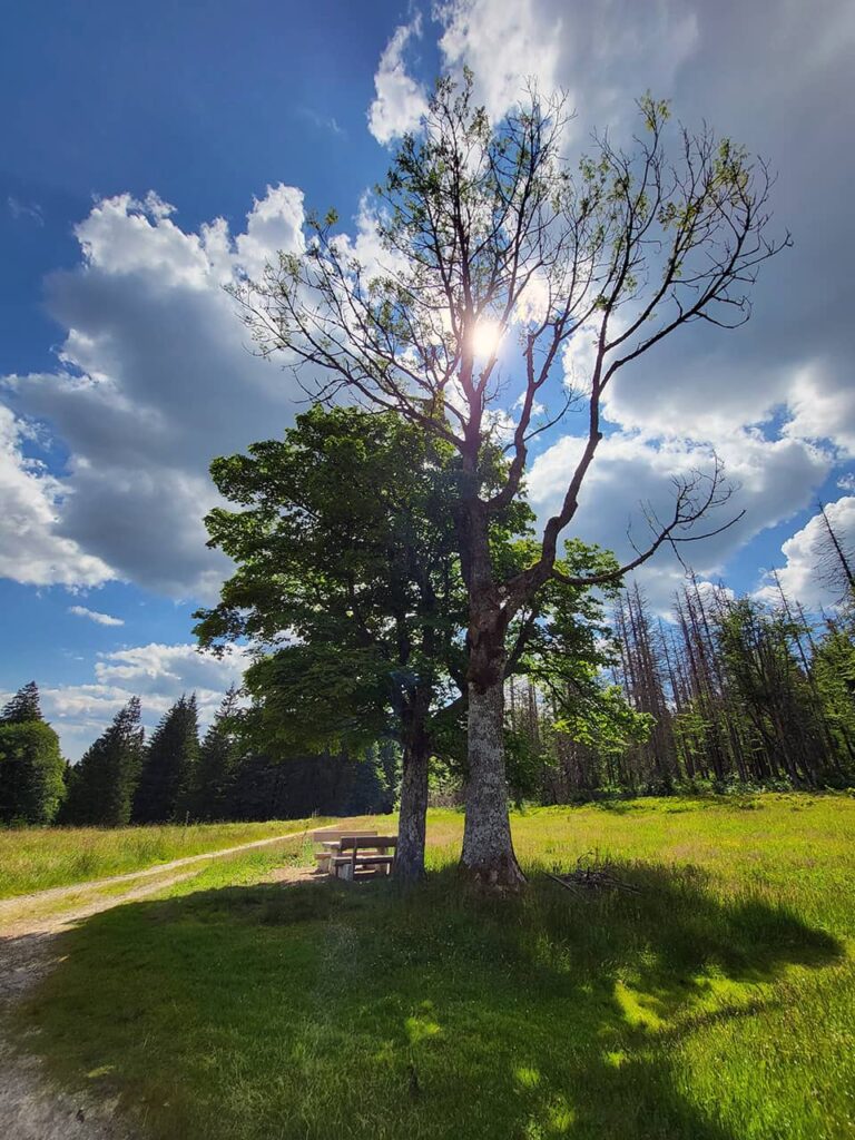 Tummelplatz, odpočinkové místo